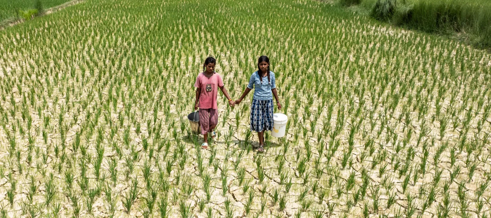Two girls walk in a dry field. 