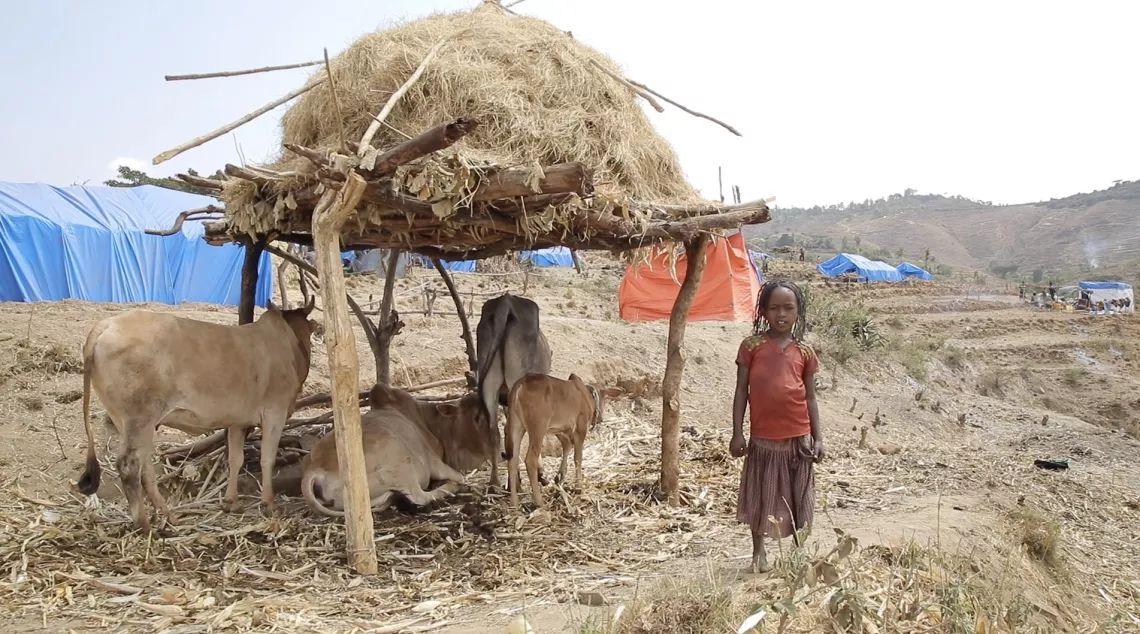 Ethiopia. A girl stands next to a makeshift shed with animals inside.