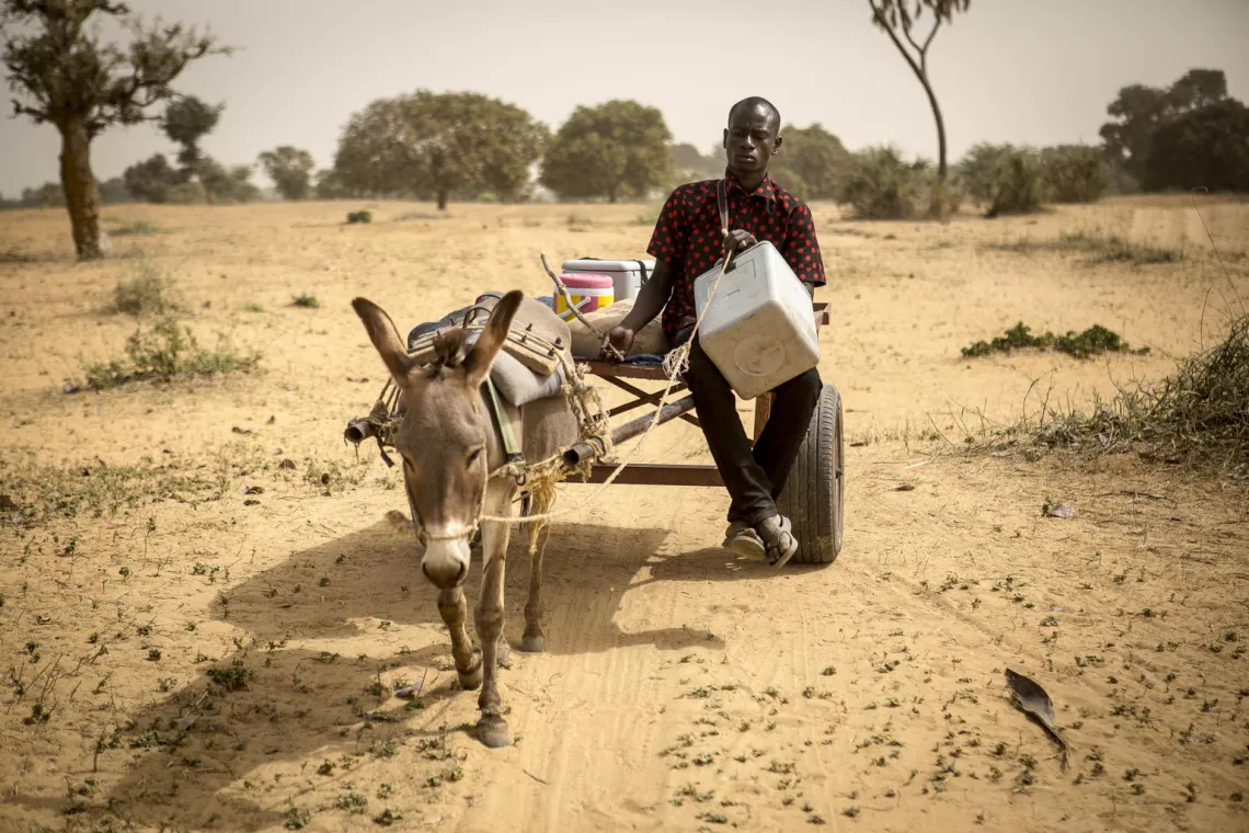 Vaccination in Mali: a health worker carries vaccines in an insulated box on top of a donkey-drawn cart.