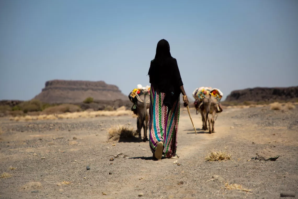 Etiop&iacute;a. Una mujer camina junto a ganado en Afar, en el norte de Etiop&iacute;a.