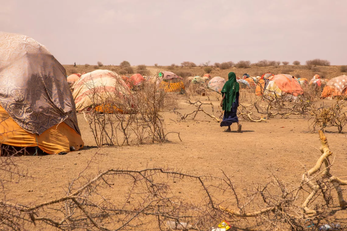 Ethiopia. A woman walks past shelters at a site for internally displaced persons.