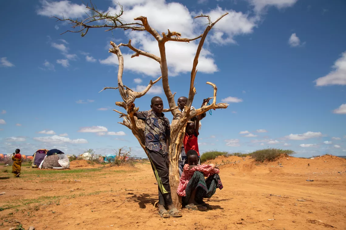 Des enfants se trouvent pr&egrave;s d'un arbre sec.