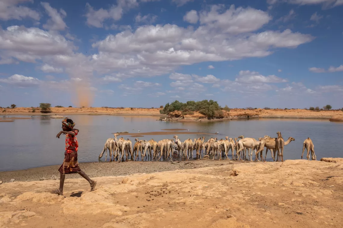 10-year-old Bukhari Aden accompanies his mother to collect water from a pond.