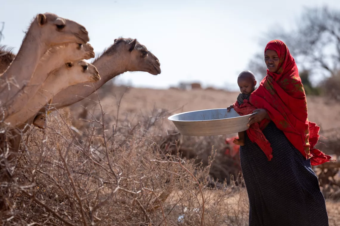 Hafsa Bedel, a mother of six, is struggling to save the lives of her young camels. 