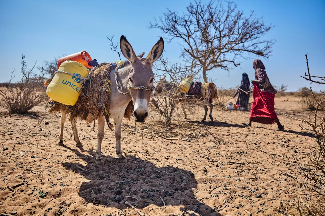 Un &acirc;ne transporte un bidon rempli d'eau dans le village de Shimbry, dans la r&eacute;gion de Garissa, au Kenya.