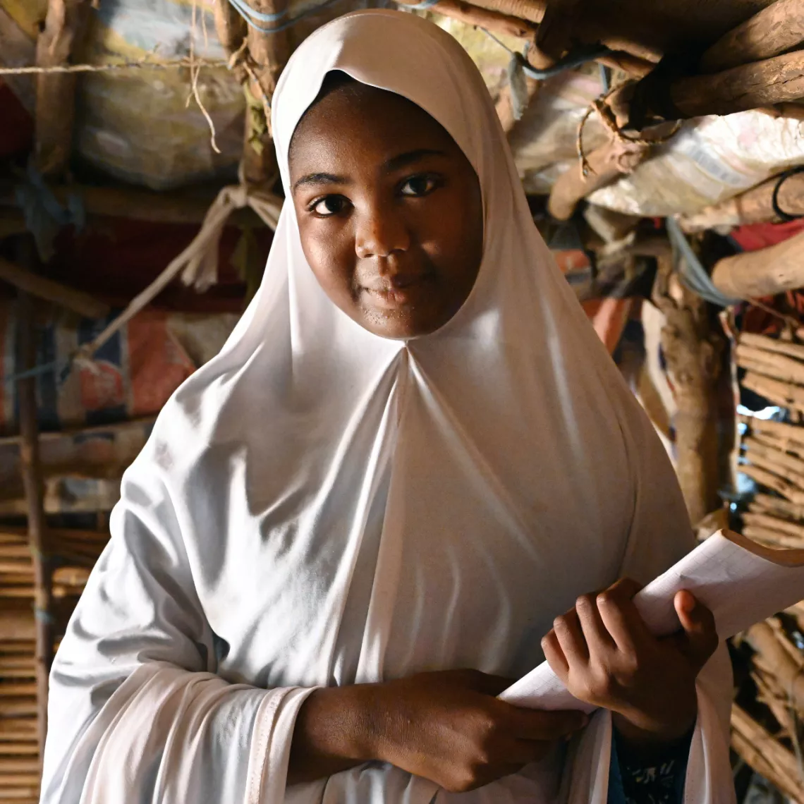 UN0688743/Niger/Dejongh