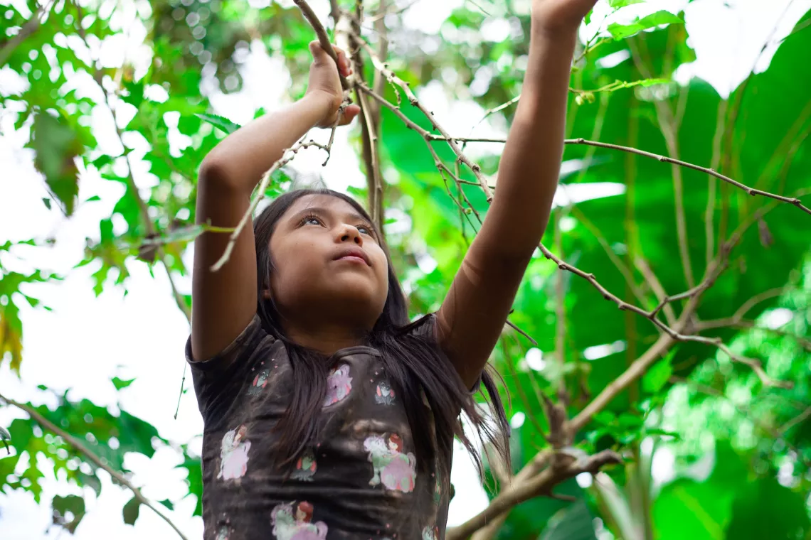 Ecuador. A girl collects fruit from her family's garden.