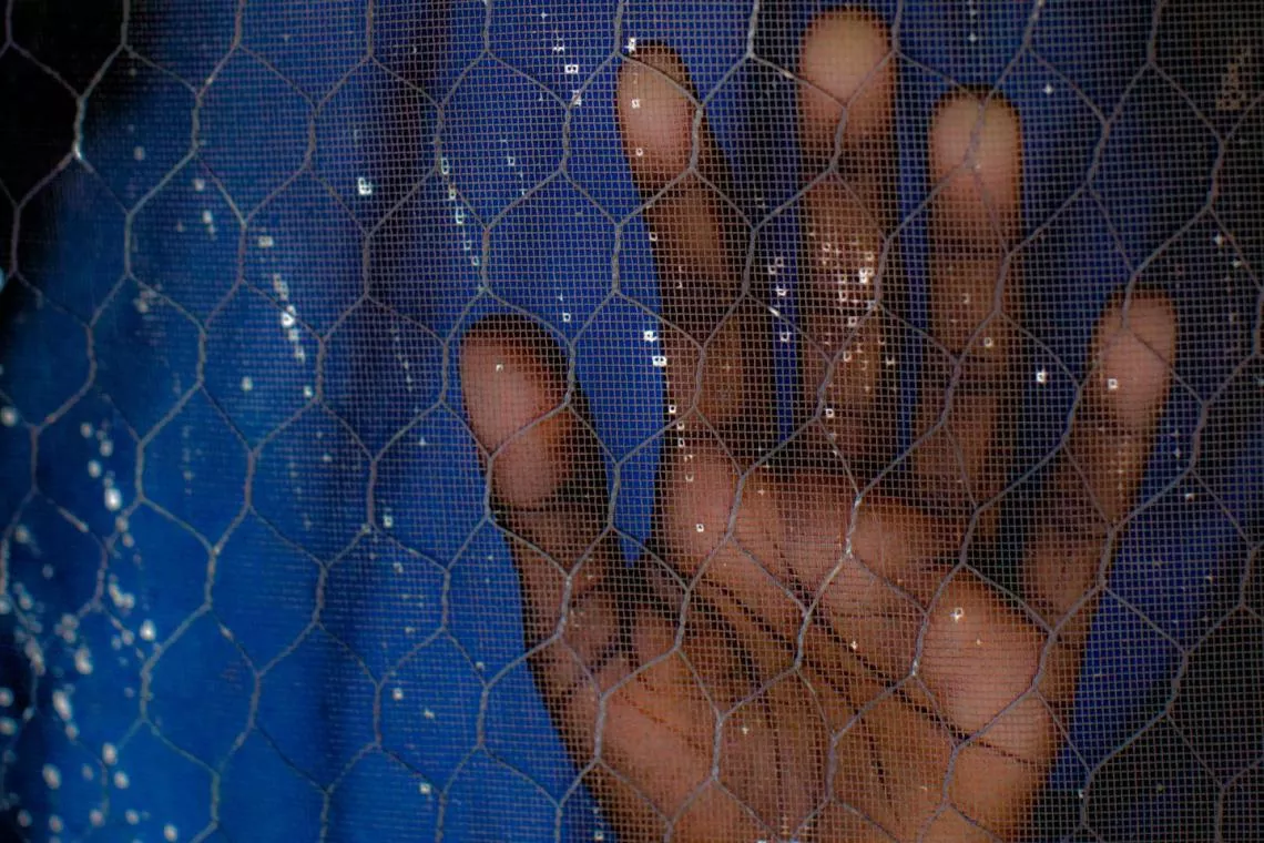 Una ni&ntilde;a presiona su mano contra la malla de alambre de una ventana en Nigeria.
