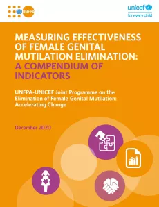 Front page of the compendium of indicators on FGM