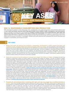SDG 12 Issue Brief
