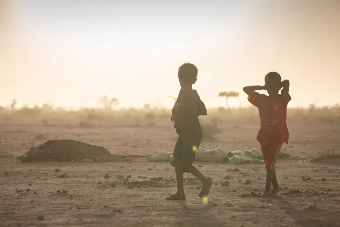 Two boys stand by dead carcasses. Gabi&rsquo;as village, 23 km northeast of the town of Gode, is one of the hardest drought-hit areas. Three consecutive failed rainy seasons have brought on severe drought in Ethiopia&rsquo;s lowland region of Somali region drying up water wells, killing livestock and crops and pushing hundreds of thousands of children and their families to the brink.