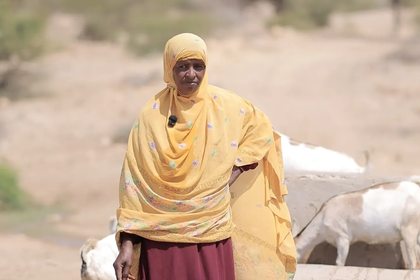 Hibak Yusuf next to her goats drinking water.