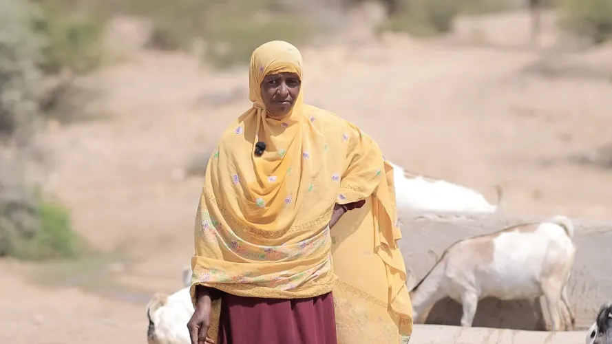 Hibak Yusuf next to her goats drinking water.