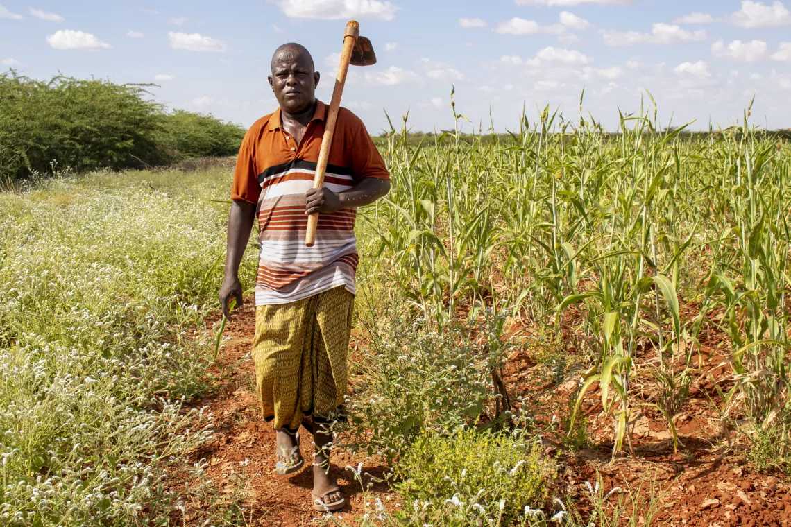 Ali attends to his crops in Dollow.
