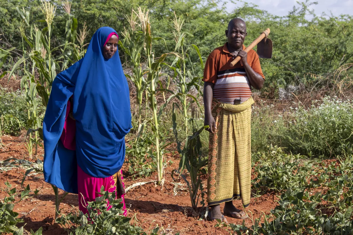 Fatuma and Ali tend to their crops in Dollow.