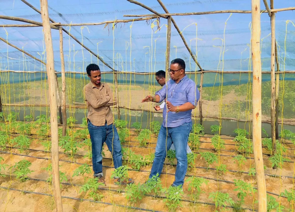 Yahya and Mohamed together at the farm