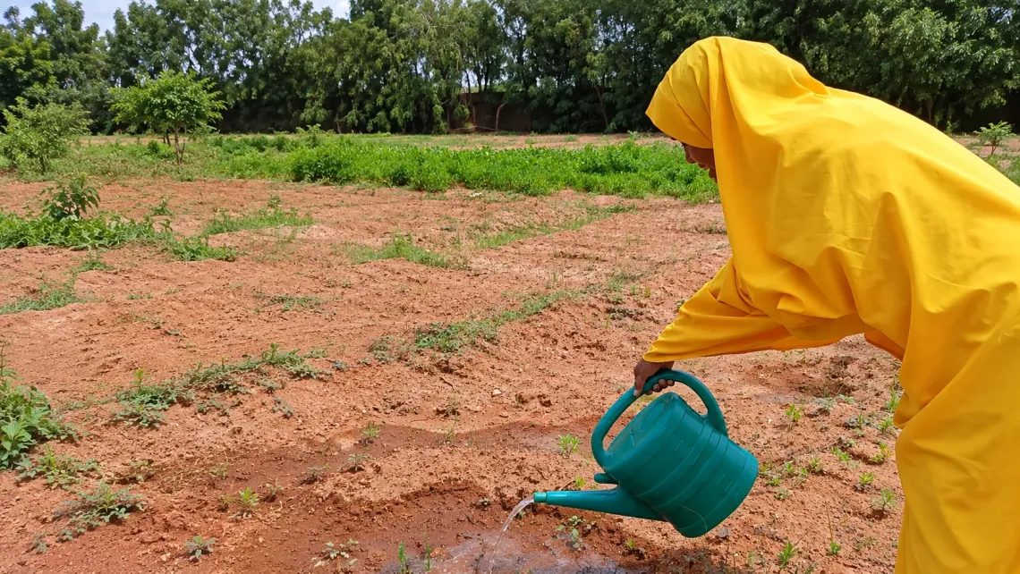 Students water young plants in the garden at GECPD Harfo School, turning lessons on climate and the environment into practical action.