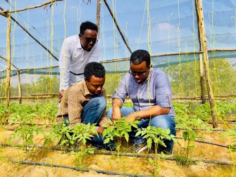 Yahye and Mohamed at the farm