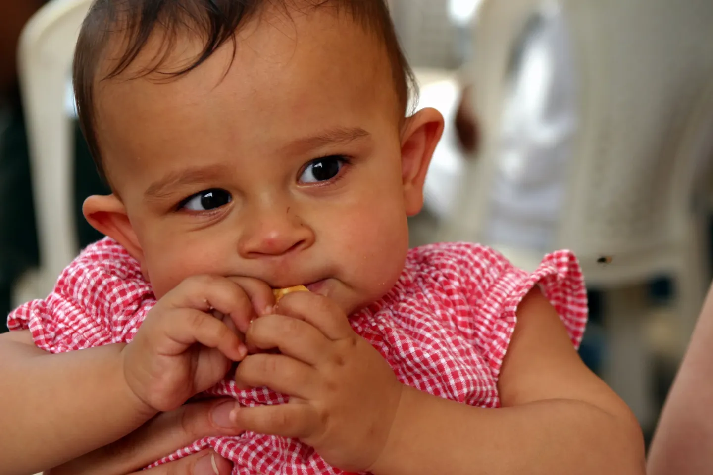 A liltte girl eating a biscuit