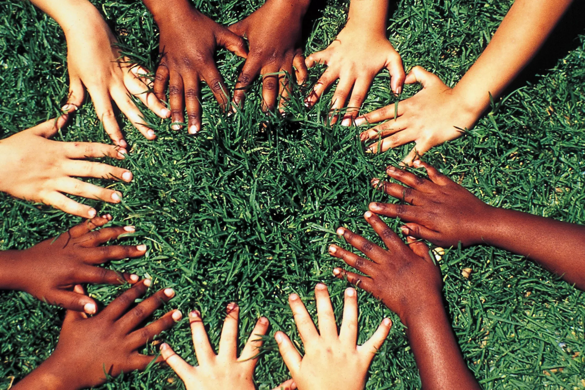 hands