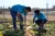 Two UNICEF Volunteers works in a vegetable garden