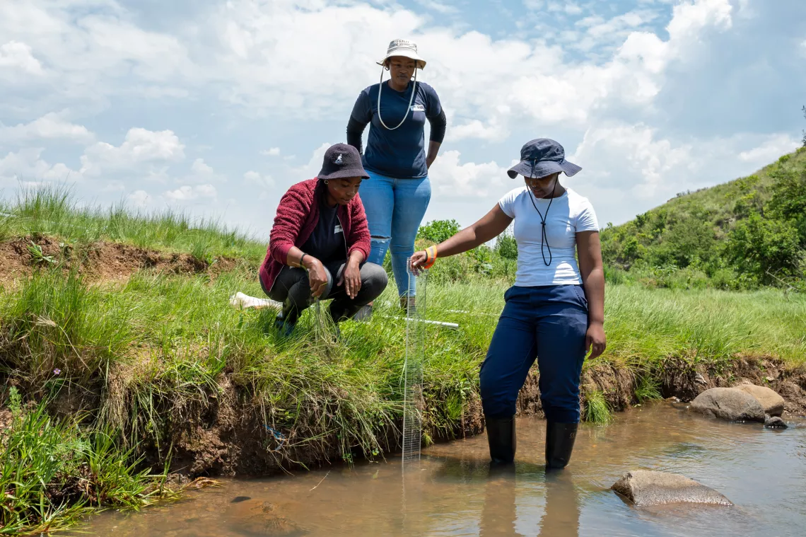 Young woman takes a measurement in the stream while two others look on from the side.