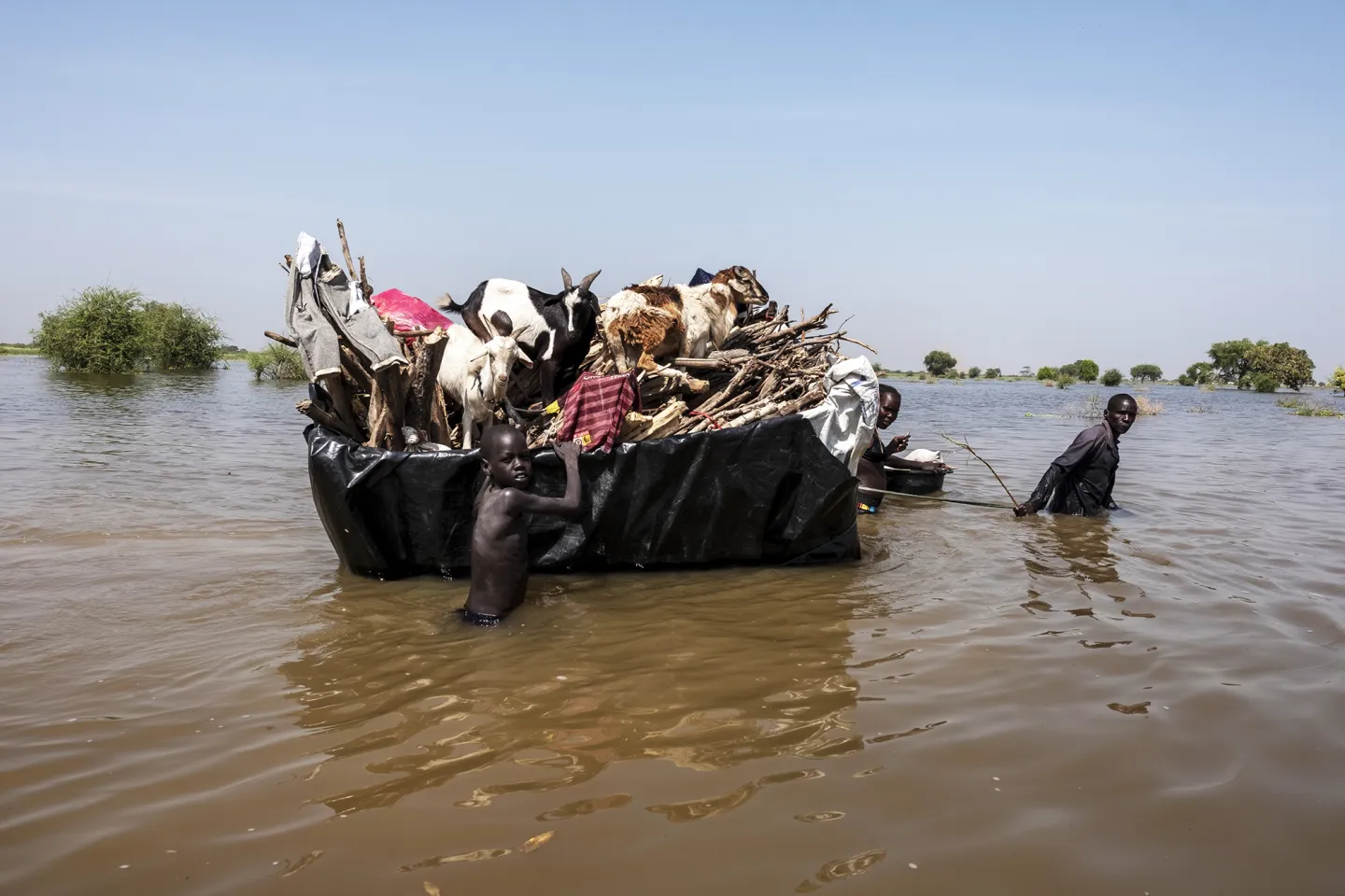 People moving supplies and animals on a raft through flood water