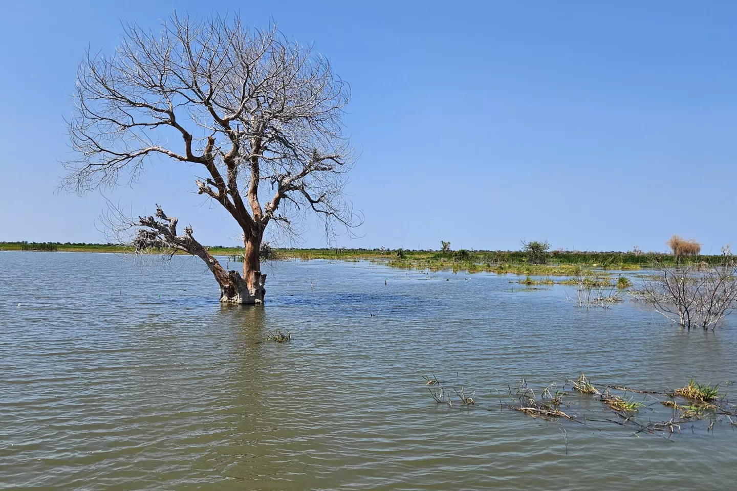 A flooded area in the Bentiu Town is photographed in March 2023