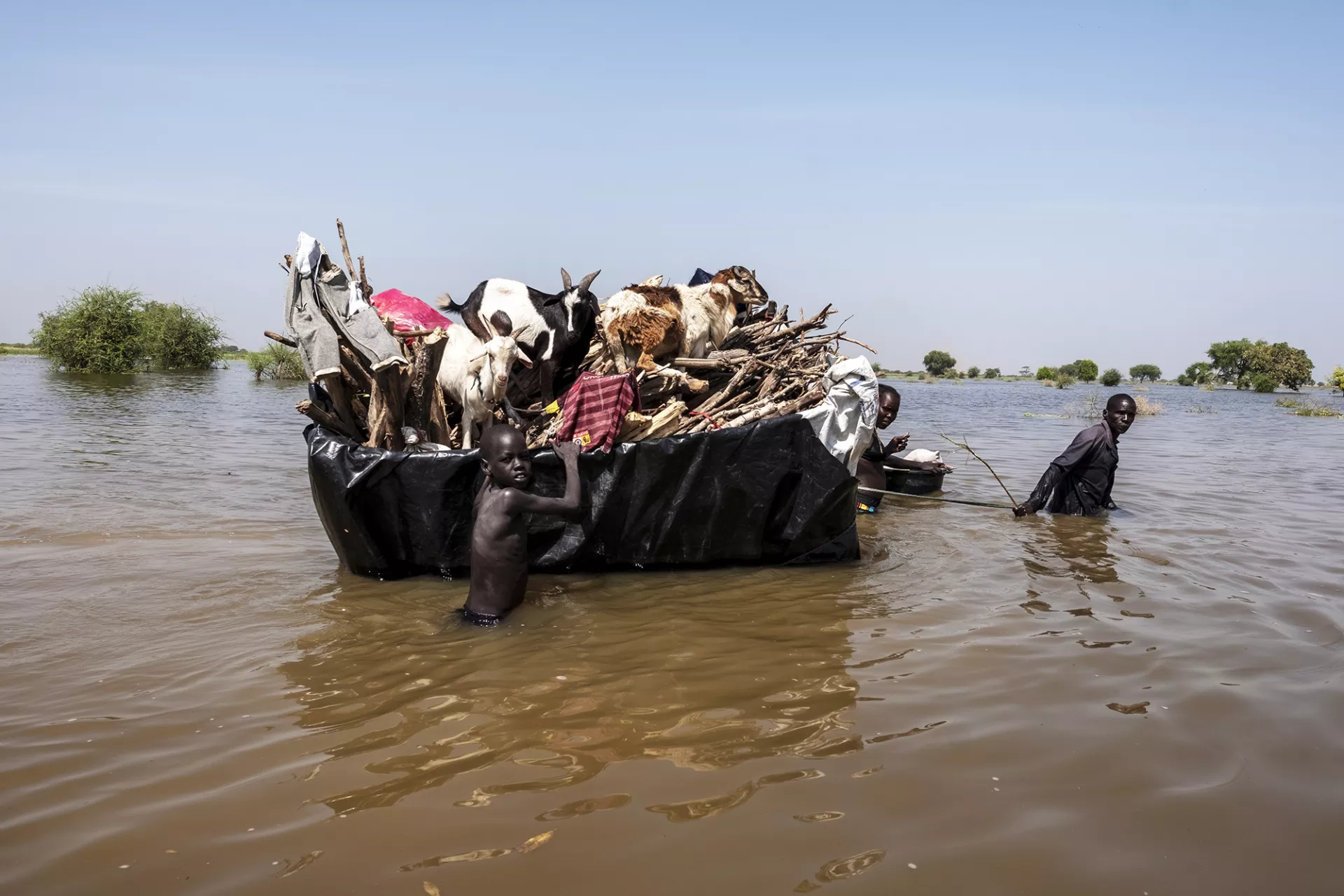 People moving supplies and animals on a raft through flood water