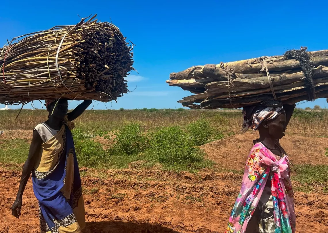 Women carry elephant grass