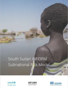 South Sudan Subnational Risk Model
