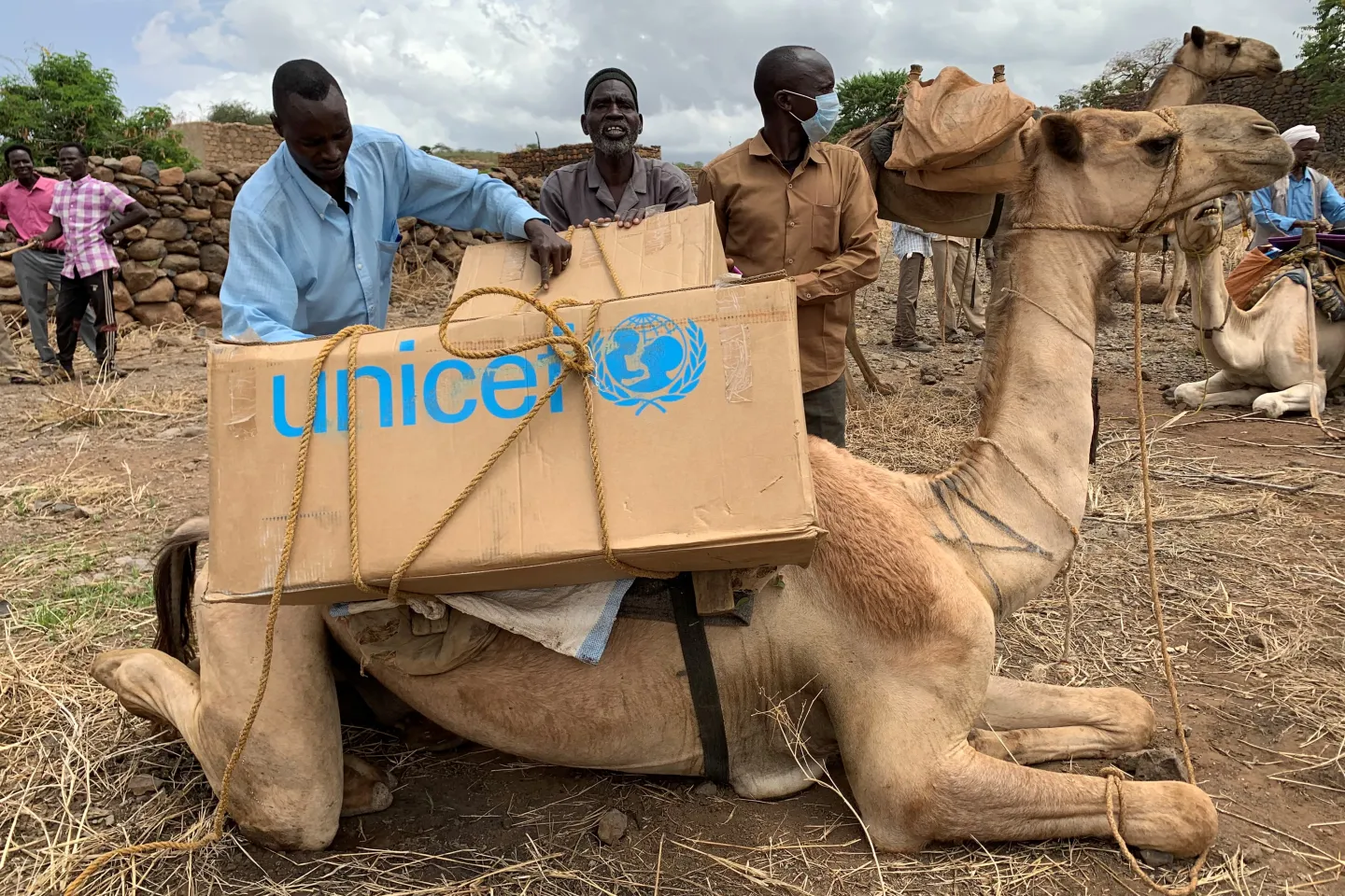 Camel with Supplies