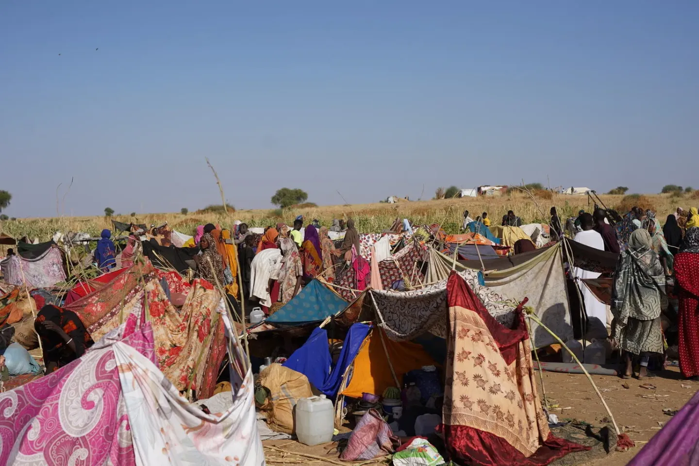 Al Fasher crisis, displaced children, displaced people, Tawila, displacement camp, internally displaced people, IDPs, Sudan, North Darfur, Al Fasher, El Fasher, children, women