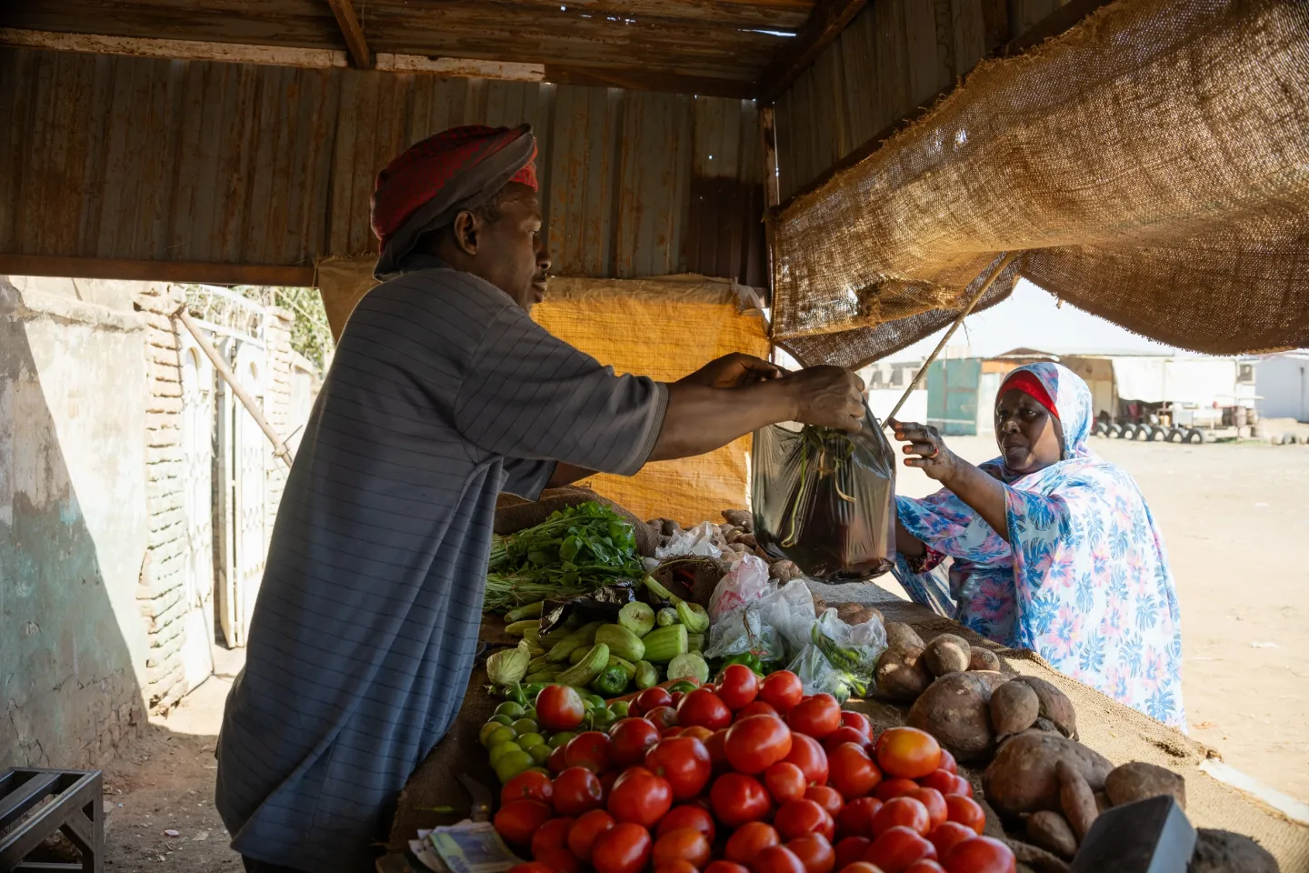 humanitarian cash transfer, cash assistance, Sudan, women, mothers, cash grants, vulnerable families, displaced families, displaced people, children