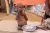 malnutrition, war, conflict, Al Fasher, Darfur, North Darfur, infant nutrition, famine, fighting