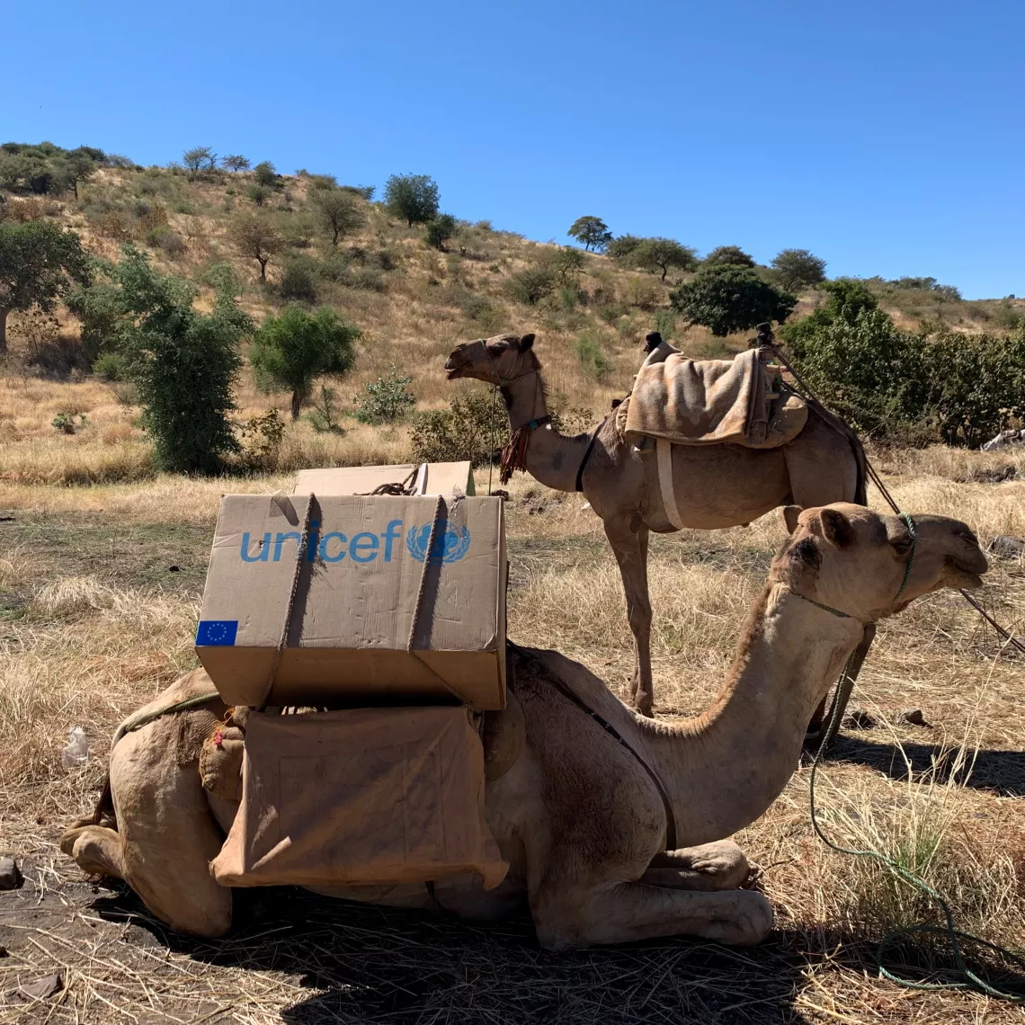To reach children with school supplies UNICEF used camels to transport, as it is the only mode of transportation to Gorlangbang. 