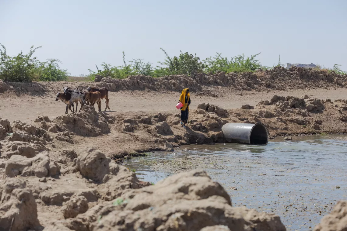 water quality, burden of fetching water, girls, women, water supply, water is life