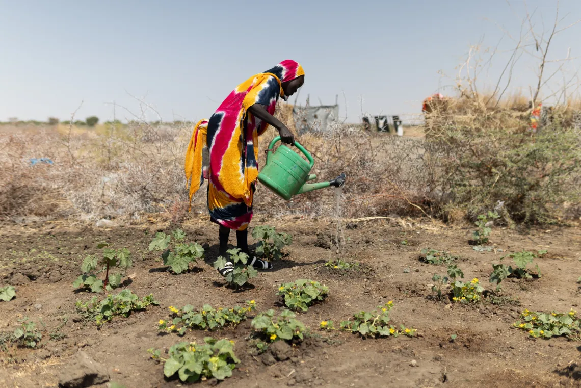 clean water, safe water, ECHO, European Union, UNICEF, Sudan, displaced children, armed conflict, armed conflict, children in armed conflict, children, cholera, destruction of water facilities