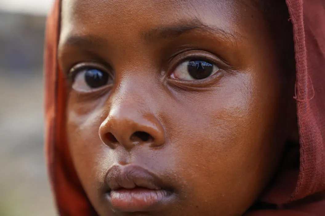 Al Fasher crisis, displaced children, displaced people, Tawila, displacement camp, internally displaced people, IDPs, Sudan, North Darfur, Al Fasher, El Fasher, children, women