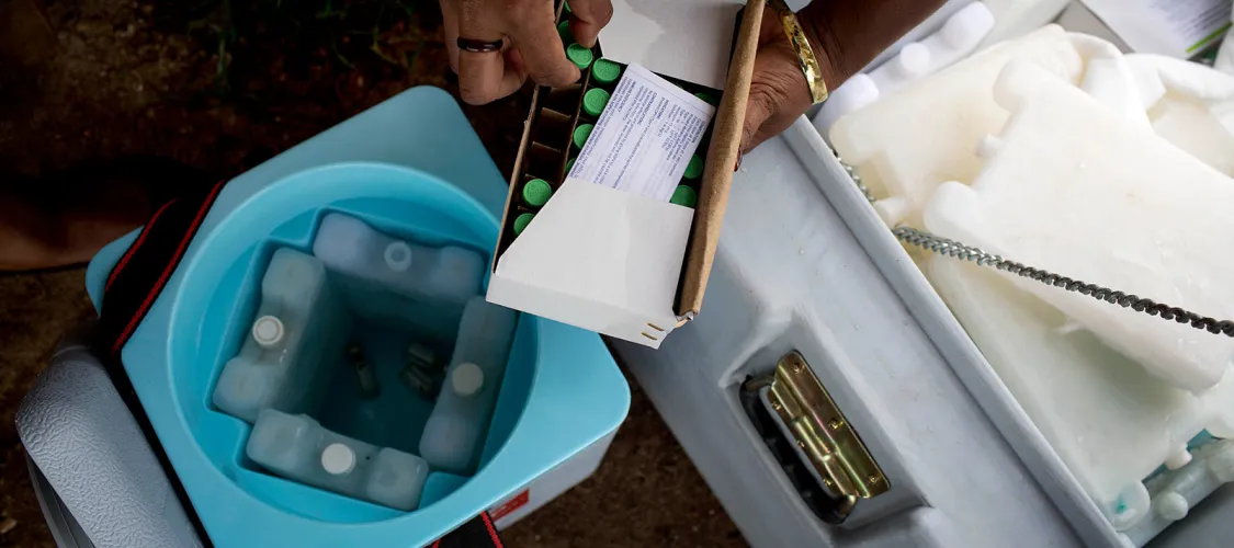 Polio vaccinators from the Papua New Guinea Department of Health put vaccines into a cold storage container, in March 2019. 