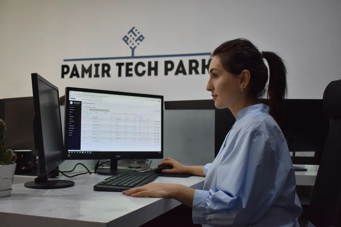A young woman working on her PC