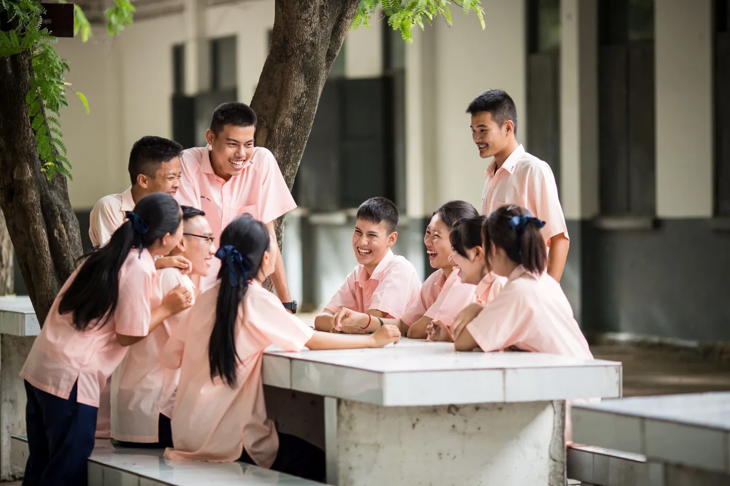 A group of high school students are talking happily with each other.