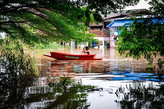 เด็กพายเรือสีแดงล่องไปบนน้ำท่วมที่นิ่งสงบ ใต้กิ่งไม้ใหญ่ ใกล้บ้านที่ยกพื้นสูง