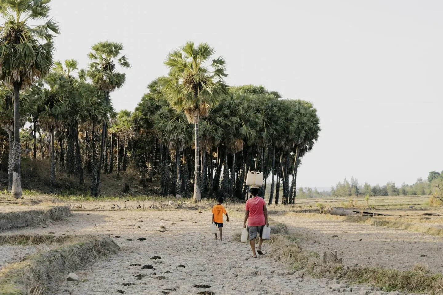 Drought in Baucau