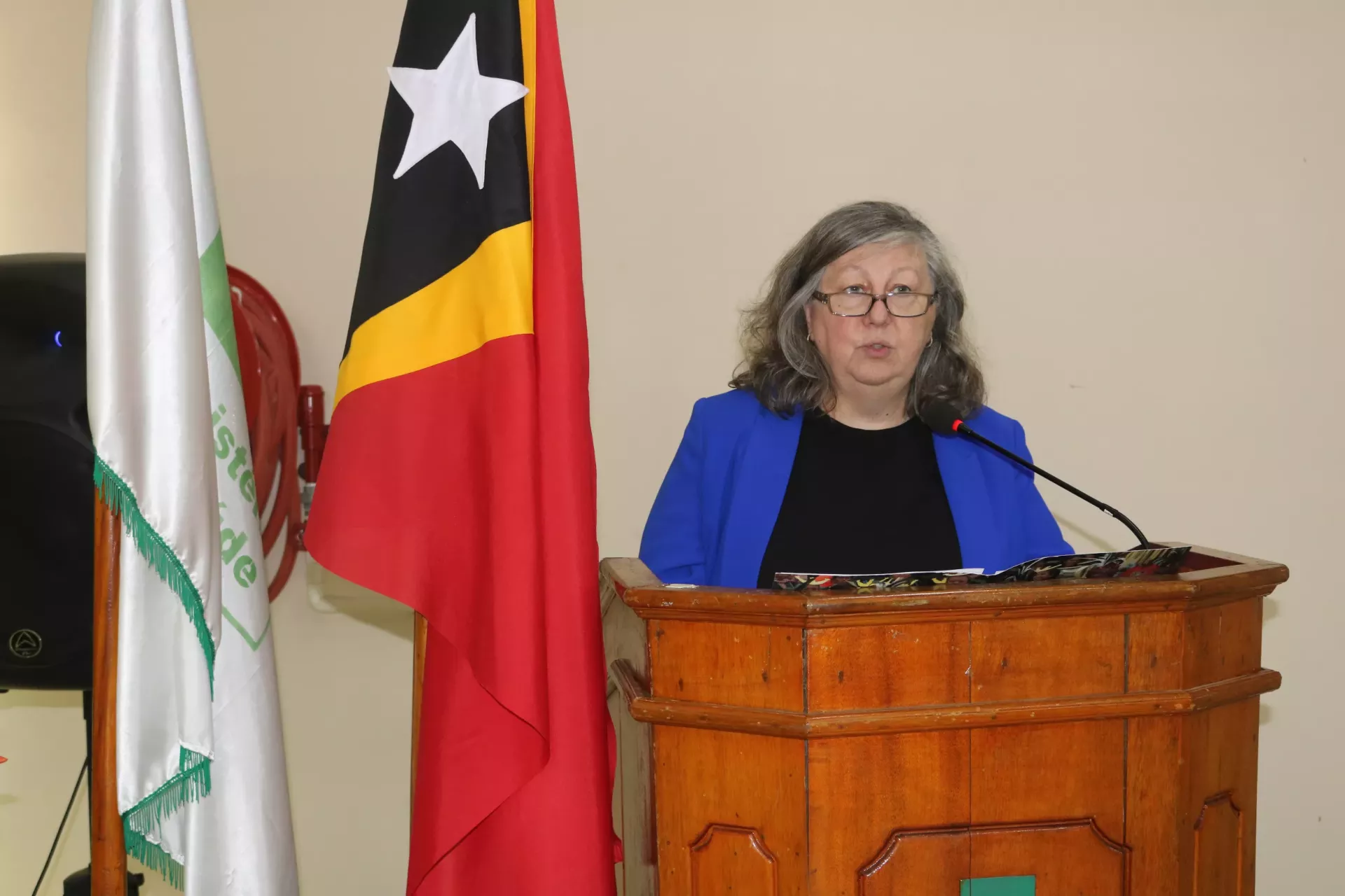 Speech for the UN Agencies Representative Validation Workshop &ndash; National RMNCAH Strategy and Costing Plan 2025&ndash;2030, Dili, 11 August 2025 