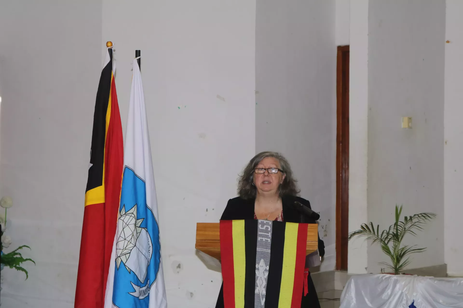 Remarks by Patrizia DiGiovanni, UNICEF Country Representative to Timor-Leste at the opening ceremony of the Teachers Training on Access to Online Platforms, including 'Eskola Ba Uma', INFORDEPE, Dili, 2-6 June 2025