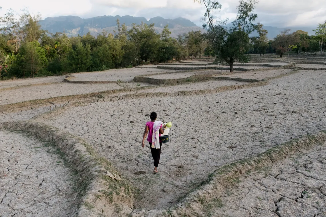 Marquita crosses a dried-out paddy field to get to her vegetable field