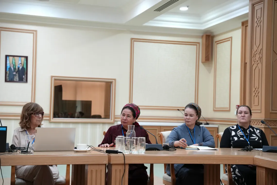 International expert Ms. Filomena Pereira seated with a laptop alongside Ministry of Education partners at a panel table.