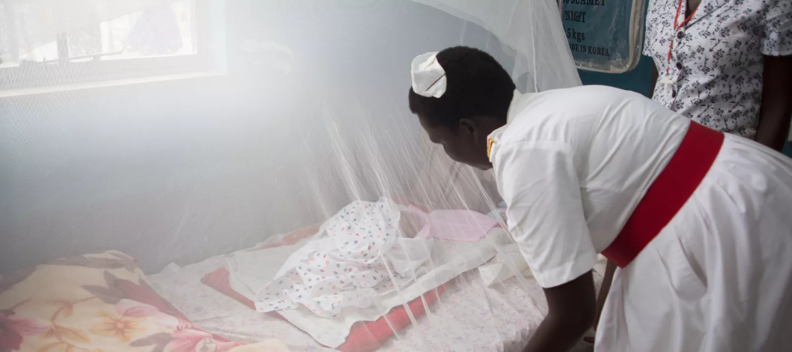 insecticide treated nets