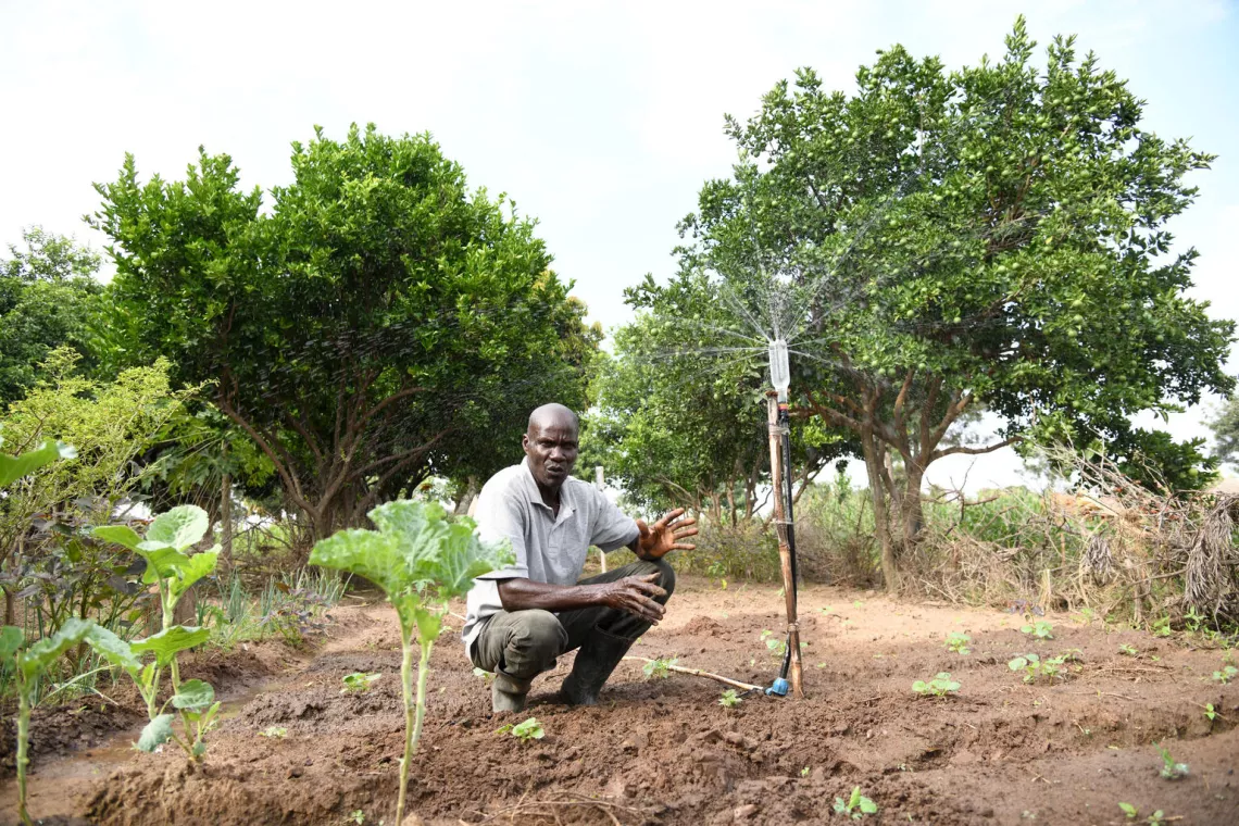 Irrigating vegetables
